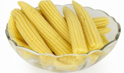 початки кукурузы4